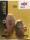 Bremsbeläge SBS 1X hinten 687LS für Kawasaki Z1000SX Bj.2011-2023